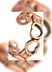 حلقه اصل مگنتی